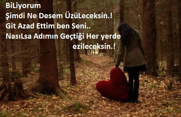 Git azad ettim ben seni Yazgulu
