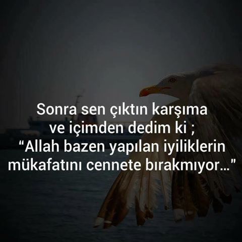 İlgili resim