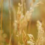 Biraz zaman geçsin, her şeyi unutacaksın.. Biraz zaman geçsin, her şey seni unutacak..