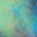 Sarı Gül | Yellow Rose