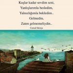 Kuşlar kadar sevdim seni