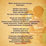 Mutlu olmak için aranan tel şey…