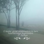 O kadar güzel unutmuşsun ki beni, hatırlatmaya kıyamadım.
