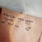 Martılar çığlık çığlığa diyor ki; dön sarıl ona.
