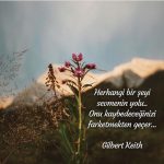 Herhangi bir şeyi sevmenin yolu…