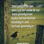 Seni seviyorum dan daha özel bir cümle var