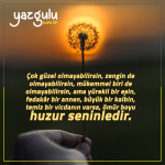 Çok güzel olmayabilirsin, zengin de olmayabilirsin