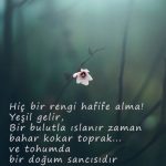 Hiç bir rengi hafife alma!