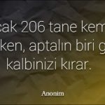 Kırılacak 2006 tane kemiğiniz varken