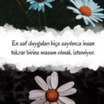 En saf duyguları hiçe sayılınca, insan tekrar