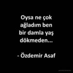 Oysa ne çok ağladım ben bir damla yaş dökmeden… – Özdemir