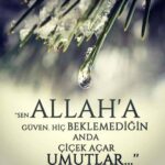 Sen Allah’a güven; Hiç beklemediğin anda çiçek açar umutlar…