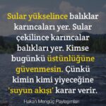 Sular yükselince balıklar karıncaları yer