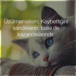 Üzülmemelisin Kaybettiğini Düşündüğün