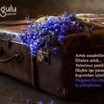 Artık susabilirsin..!