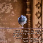 Ayağı olmayan kuş değil, kanadı olmayan kuş uçamaz