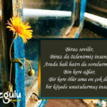 Biraz sevilir, Biraz da özlenirmiş insan…