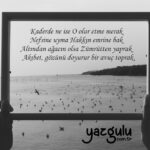 Kaderde ne ise O olur etme merak