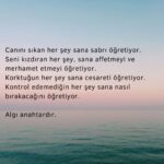 Canını sıkan her şey sana sabrı öğretiyor.