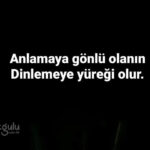 Anlamaya gönlü olanın