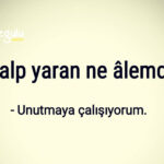 Kalp yaran ne alemde