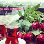Sevdikçe sendeledim İçtikçe sen dedim..”