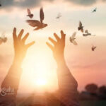 Beni rahatsız eden her şeye tepki vermek zorunda