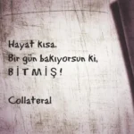 Devam etmek için özür dilemeye ihtiyacın yok.