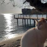 Bazen bir kenara çekilin ve izleyin