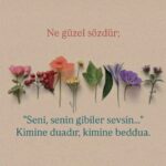 Ne güzel sözdür; “seni, senin gibiler sevsin..”