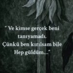 Sana çok benzeyeni , Senin yerine koydum.